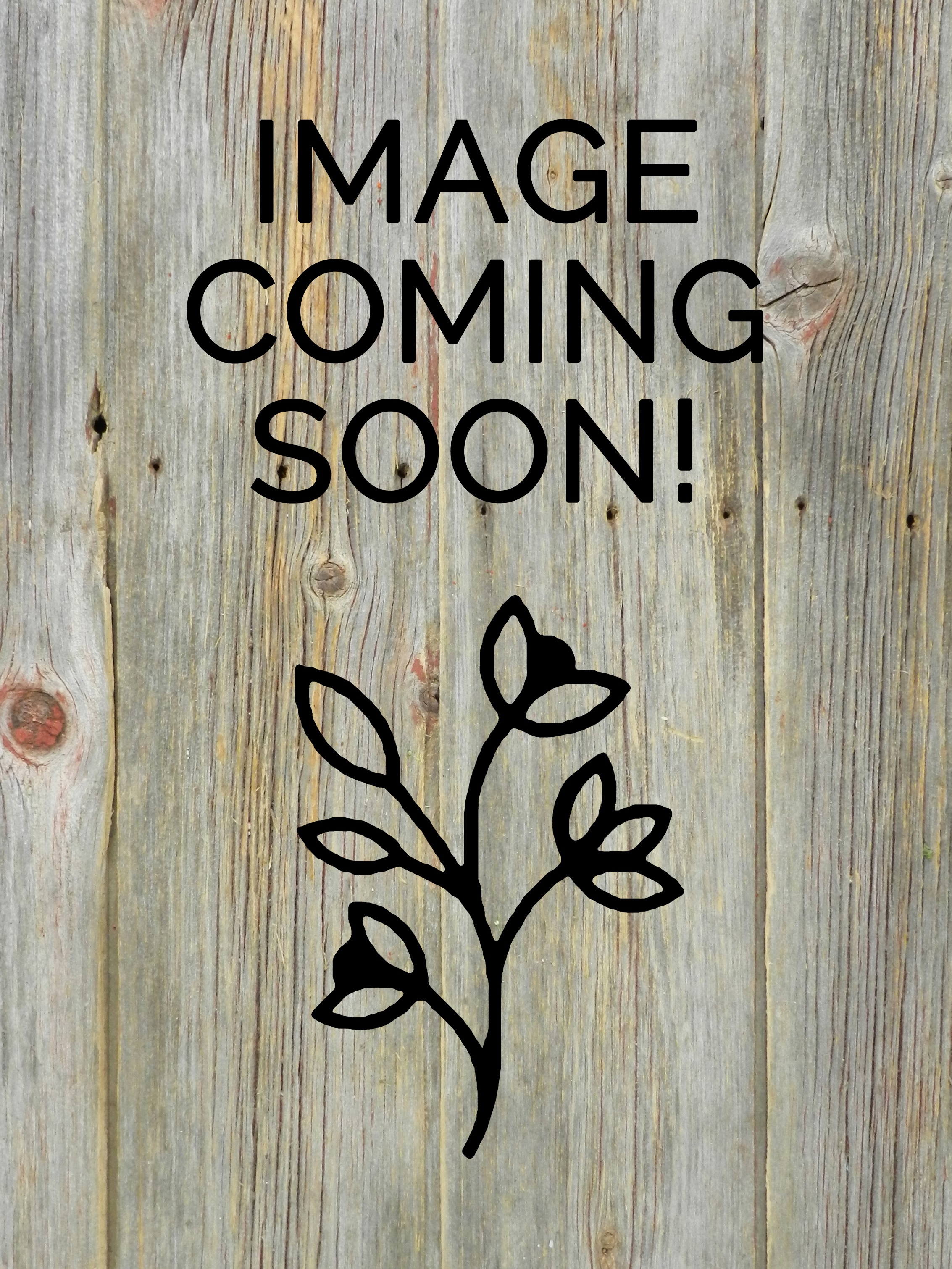 FLORIDA GROWN WILD SMILAX ABOUT 25 -30 FEET BUNDLES UP IN  A BOX